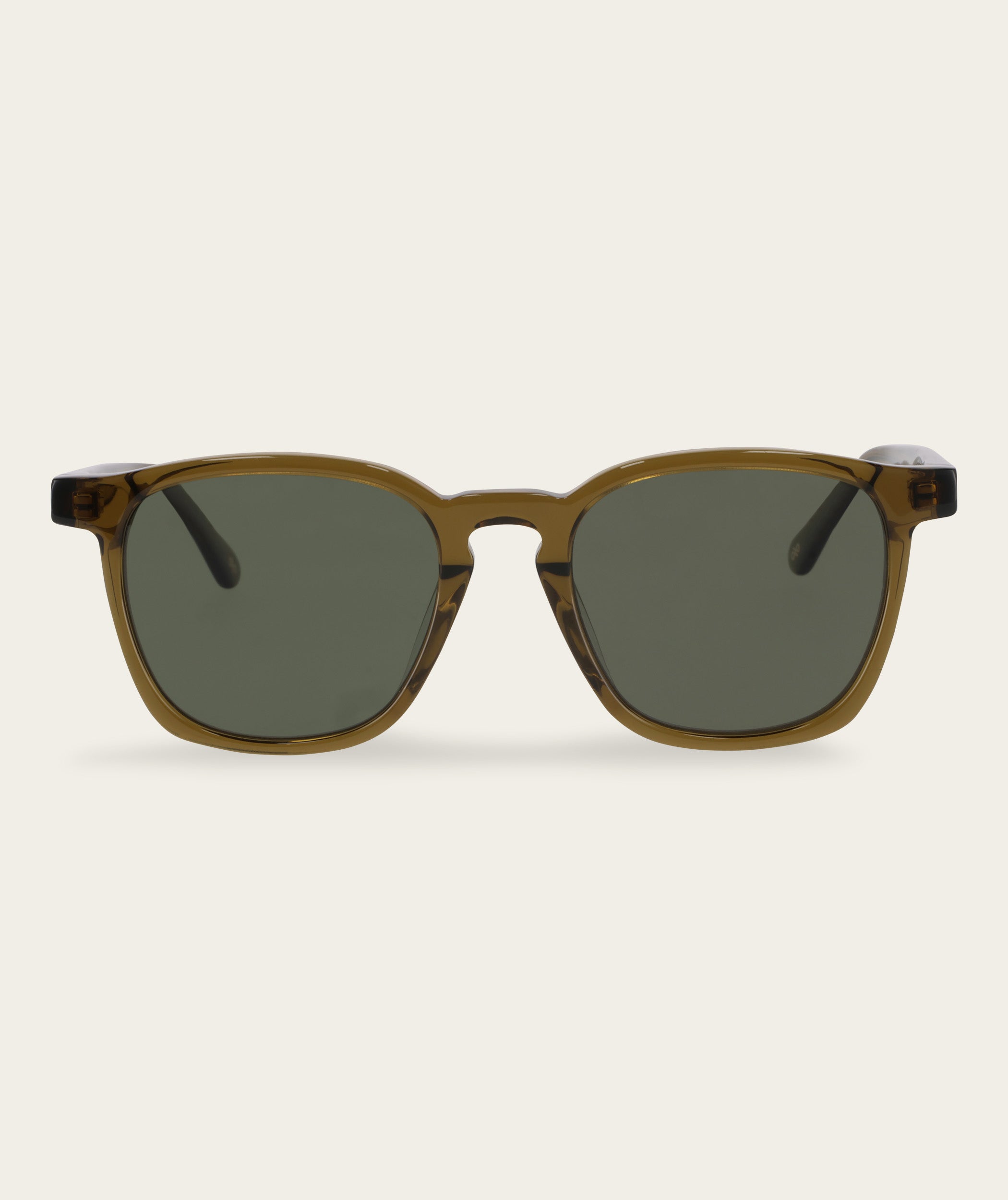 Stevie - Olive (Polarized)
