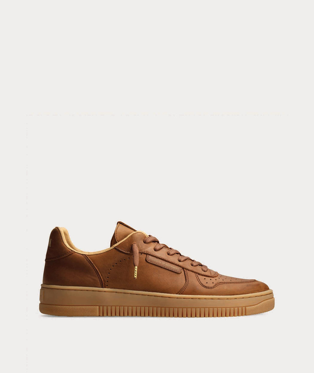 FOM Trainers Karoo