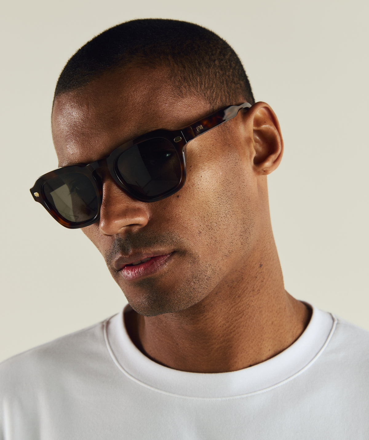 Willow - Tortoise (Polarized)
