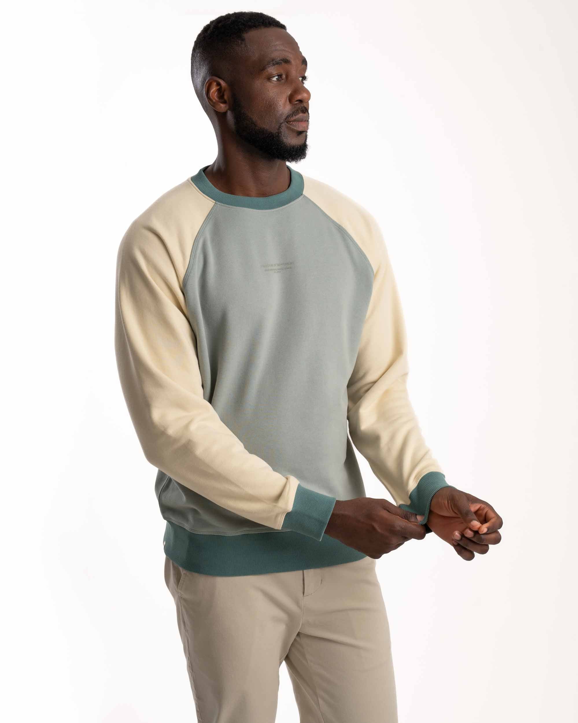 Mens Crew Neck Sweater - Blue Colourblock