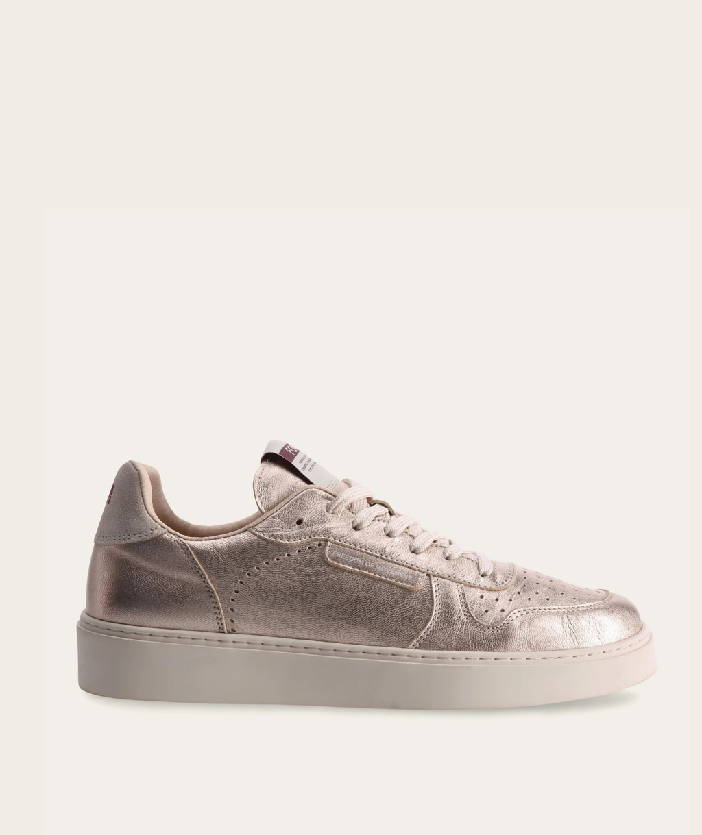 Trainers Stellar