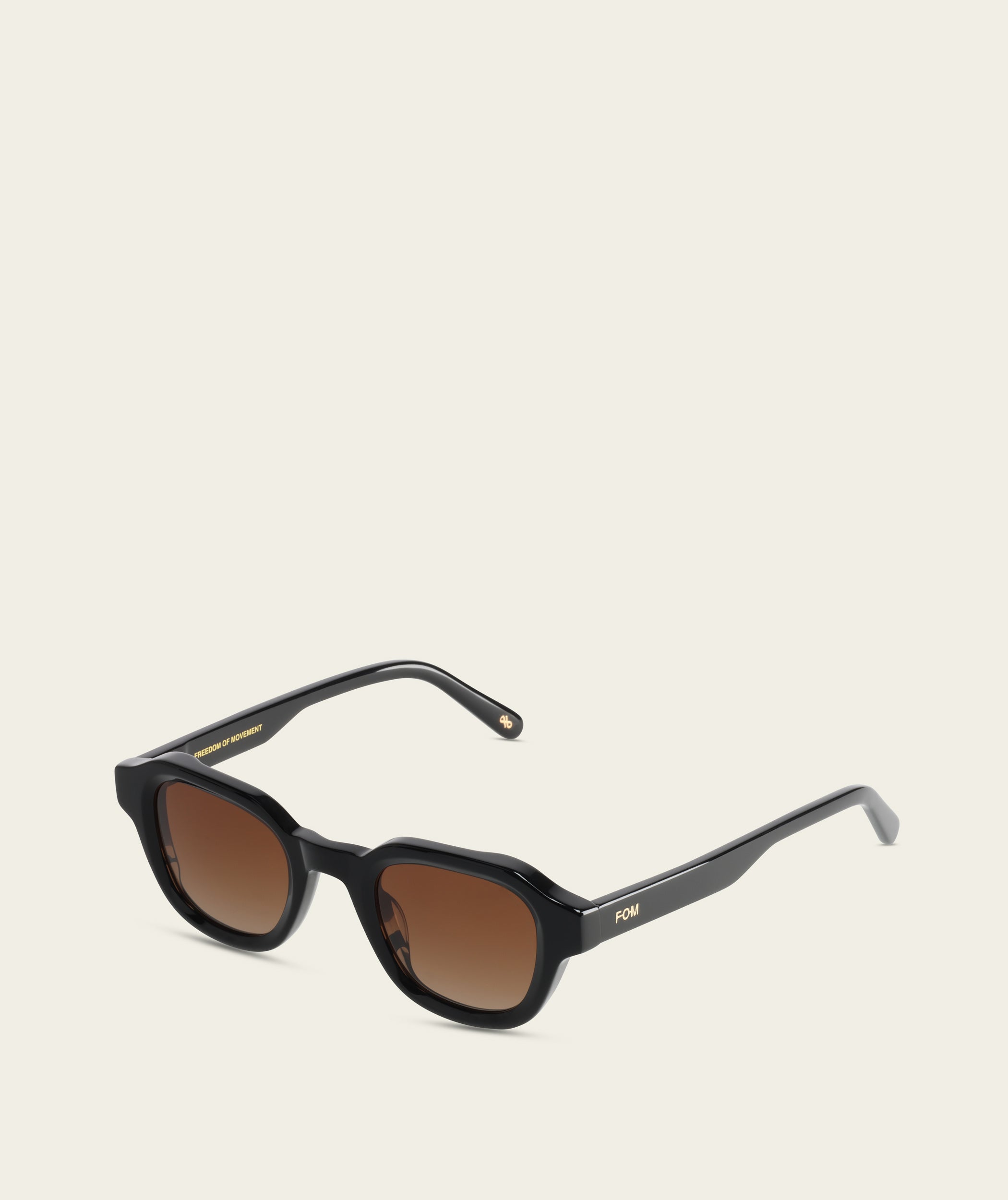 Romeo - Black (Polarized)
